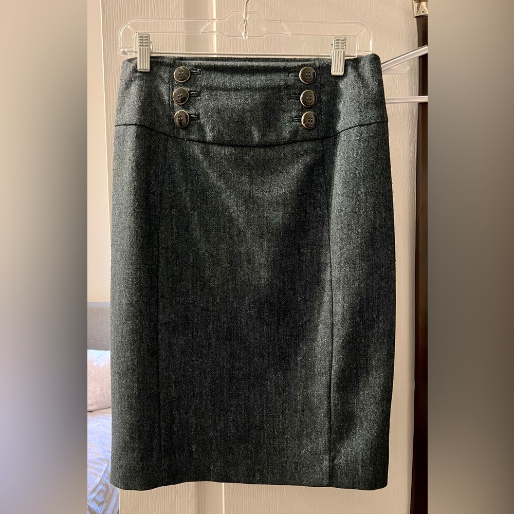 Express Pencil Skirt